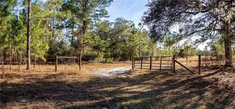 5924 E Arrowhead St, Hernando, FL 34442 photo 15