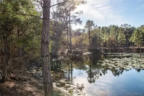 5924 E Arrowhead St, Hernando, FL 34442 photo 6