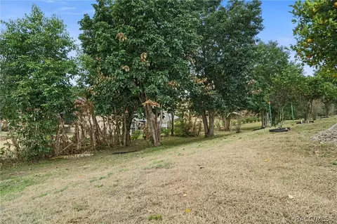 546 W Fenway Dr, Hernando, FL 34442 photo 55