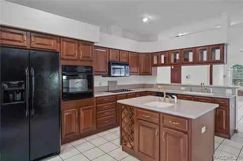 546 W Fenway Dr, Hernando, FL 34442 photo 28