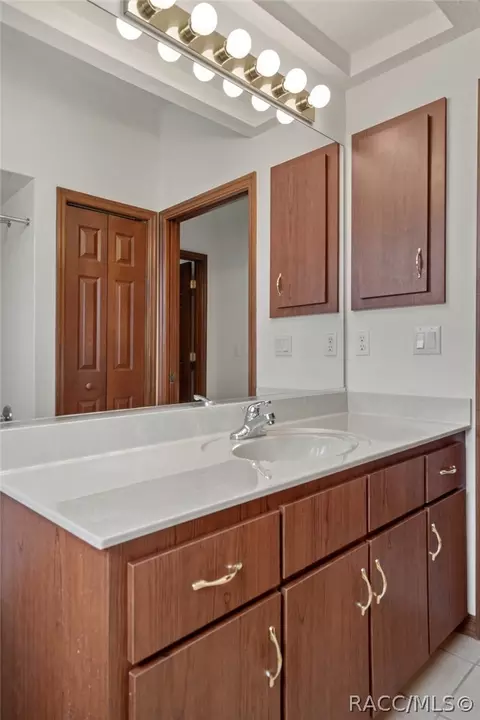 546 W Fenway Dr, Hernando, FL 34442 photo 42