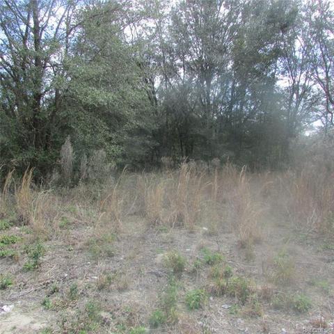 Not Assigned Yet Sw 102 Place, Dunnellon, FL 34432