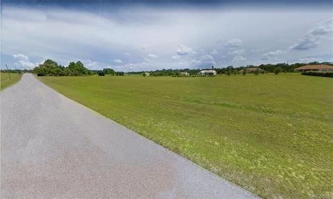 598 E Bismark St, Hernando, FL 34442 photo 3