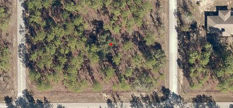 Lot 30 SW Tree Top Road, Dunnellon, FL 34431