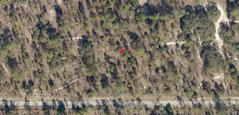 lot33 SW Blueberry Ln, Dunnellon, FL 34431