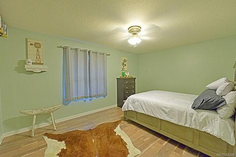 329 E Lancaster St, Lecanto, FL 34461 photo 22