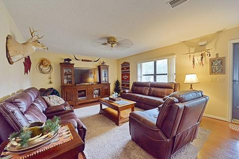 329 E Lancaster St, Lecanto, FL 34461 photo 7