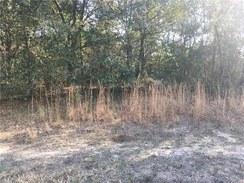 353 E Mc Faddin Pl, Citrus Springs, FL 34434