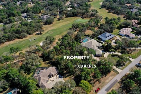 3615 N Grayhawk Loop, Lecanto, FL 34461 photo 2