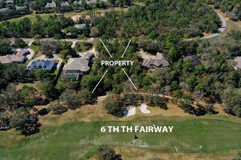 3615 N Grayhawk Loop, Lecanto, FL 34461 photo 4