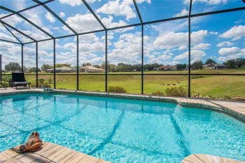 84 W Doerr Path, Hernando, FL 34442 photo 40