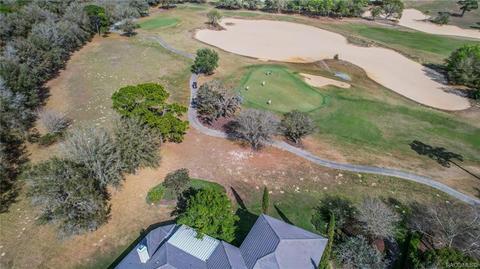 3232 W Castle Pines Loop, Lecanto, FL 34461 photo 47