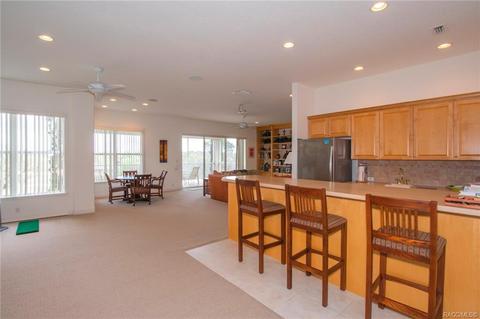 3232 W Castle Pines Loop, Lecanto, FL 34461 photo 33