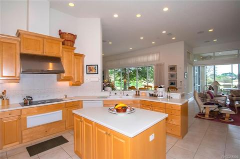 3232 W Castle Pines Loop, Lecanto, FL 34461 photo 20