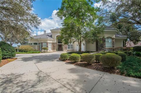 3232 W Castle Pines Loop, Lecanto, FL 34461 photo 3
