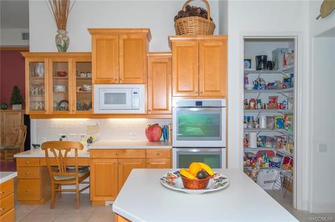3232 W Castle Pines Loop, Lecanto, FL 34461 photo 19