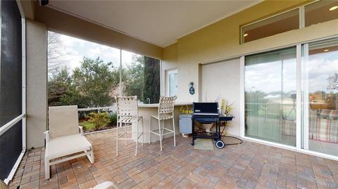 3232 W Castle Pines Loop, Lecanto, FL 34461 photo 41