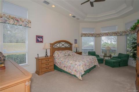 3232 W Castle Pines Loop, Lecanto, FL 34461 photo 24