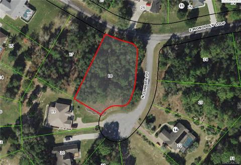 1586 E Monopoly Loop, Inverness, FL 34453 photo 2