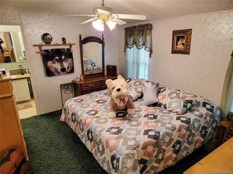 4216 E Van Ness Rd, Hernando, FL 34442 photo 12