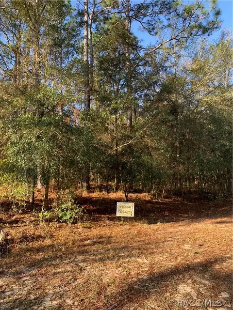30 E Jinnita St, Hernando, FL 34442 photo 3