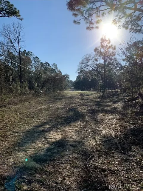 30 E Jinnita St, Hernando, FL 34442 photo 4