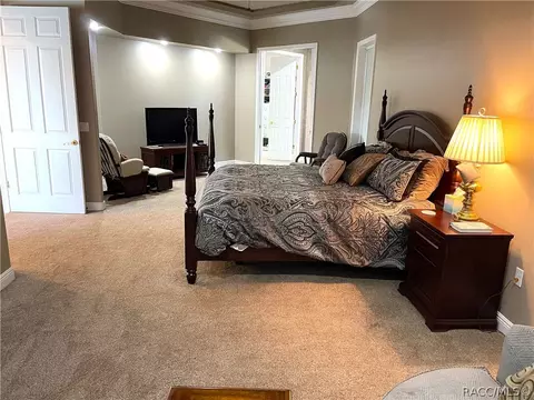 3601 N Pine Valley Loop, Lecanto, FL 34461 photo 18
