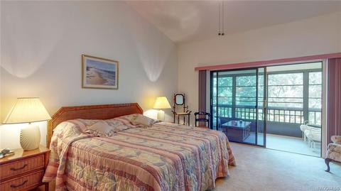 175 E Hartford St #1B, Hernando, FL 34442 photo 31