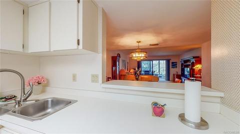 175 E Hartford St #1B, Hernando, FL 34442 photo 10