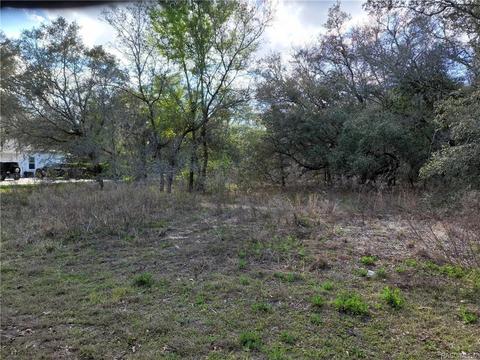 456 N Grandview Ave, Hernando, FL 34442 photo 1