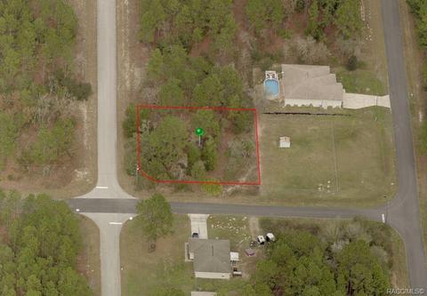 7679 N Primrose Dr, Citrus Springs, FL 34434