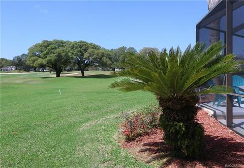 820 E Hartford St, Hernando, FL 34442 photo 24