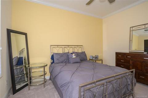 1011 W Pointer Loop, Hernando, FL 34442 photo 37