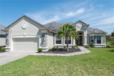 1011 W Pointer Loop, Hernando, FL 34442 photo 50