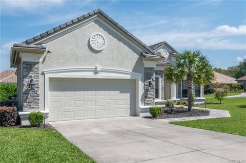 1011 W Pointer Loop, Hernando, FL 34442 photo 41