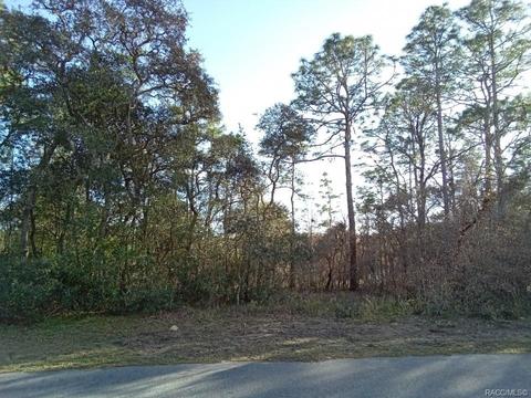 5252 E Backner Ln, Inverness, FL 34452 photo 4