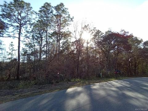 5252 E Backner Ln, Inverness, FL 34452 photo 6