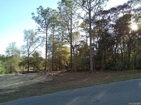 5252 E Backner Ln, Inverness, FL 34452 photo 5