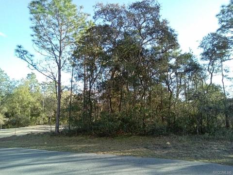 5252 E Backner Ln, Inverness, FL 34452 photo 3