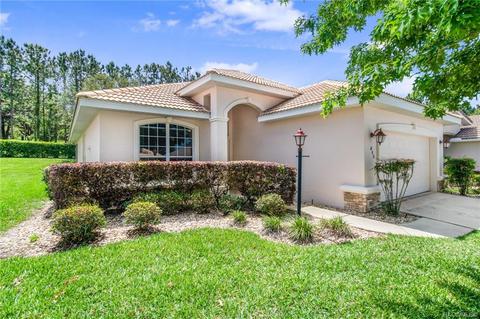 852 W Silver Meadow Loop, Hernando, FL 34442 photo 3
