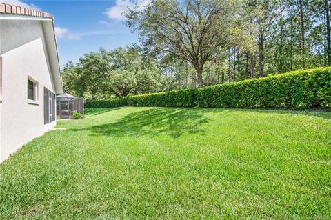 852 W Silver Meadow Loop, Hernando, FL 34442 photo 6