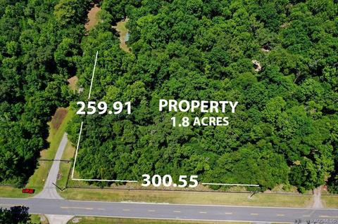 Tract A Golden Retriever Lane, Brooksville, FL 34601