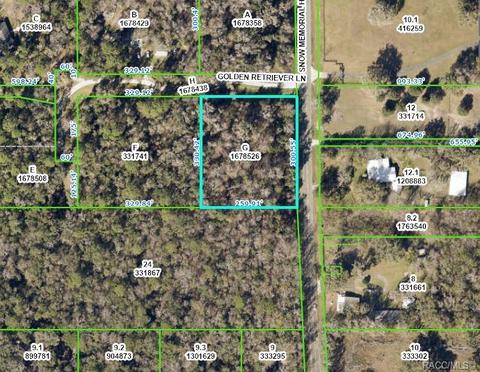 Tract G Golden Retriever Lane, Brooksville, FL 34601
