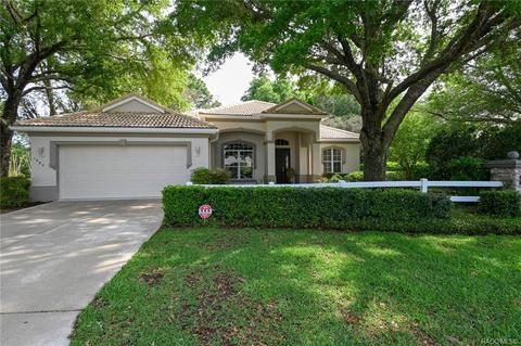 1687 N Sky Glen Path, Hernando, FL 34442 photo 60