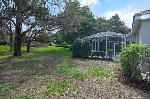 1687 N Sky Glen Path, Hernando, FL 34442 photo 54