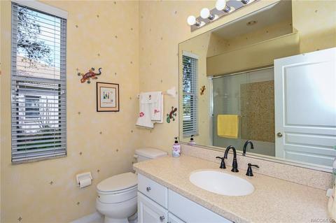 1687 N Sky Glen Path, Hernando, FL 34442 photo 38