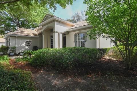 1687 N Sky Glen Path, Hernando, FL 34442 photo 59
