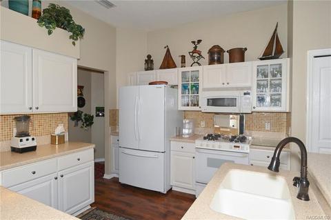 1687 N Sky Glen Path, Hernando, FL 34442 photo 17