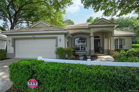 1687 N Sky Glen Path, Hernando, FL 34442 photo 61