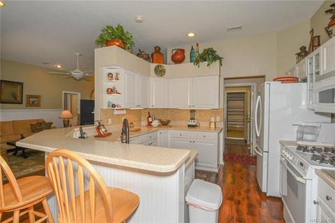 1687 N Sky Glen Path, Hernando, FL 34442 photo 15